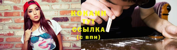 молекула духа Кинешма