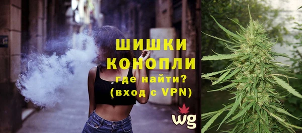 молекула духа Кинешма