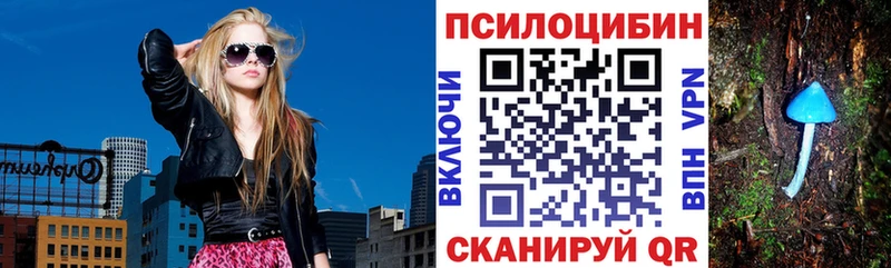 Купить где  Емва  Псилоцибиновые грибы Cubensis 